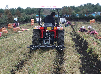 Agricultural Root Crop Harvester 